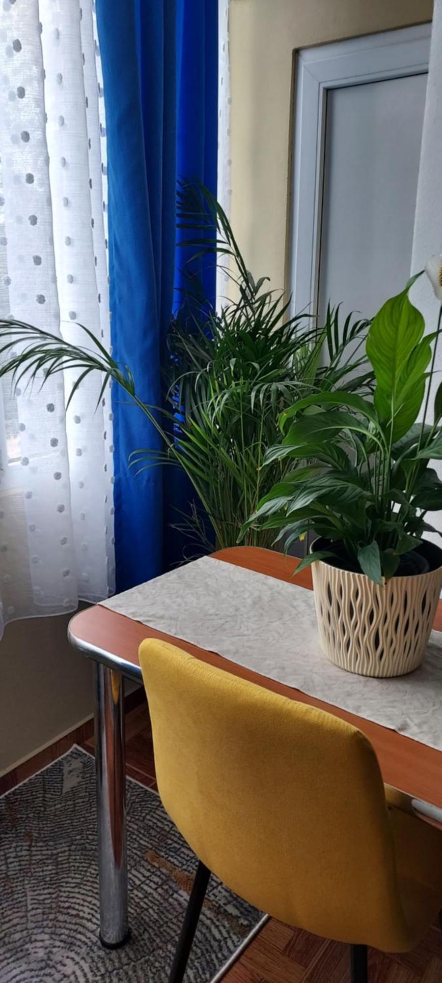 Апартаменты Apartament Gara Mica Арад Экстерьер фото